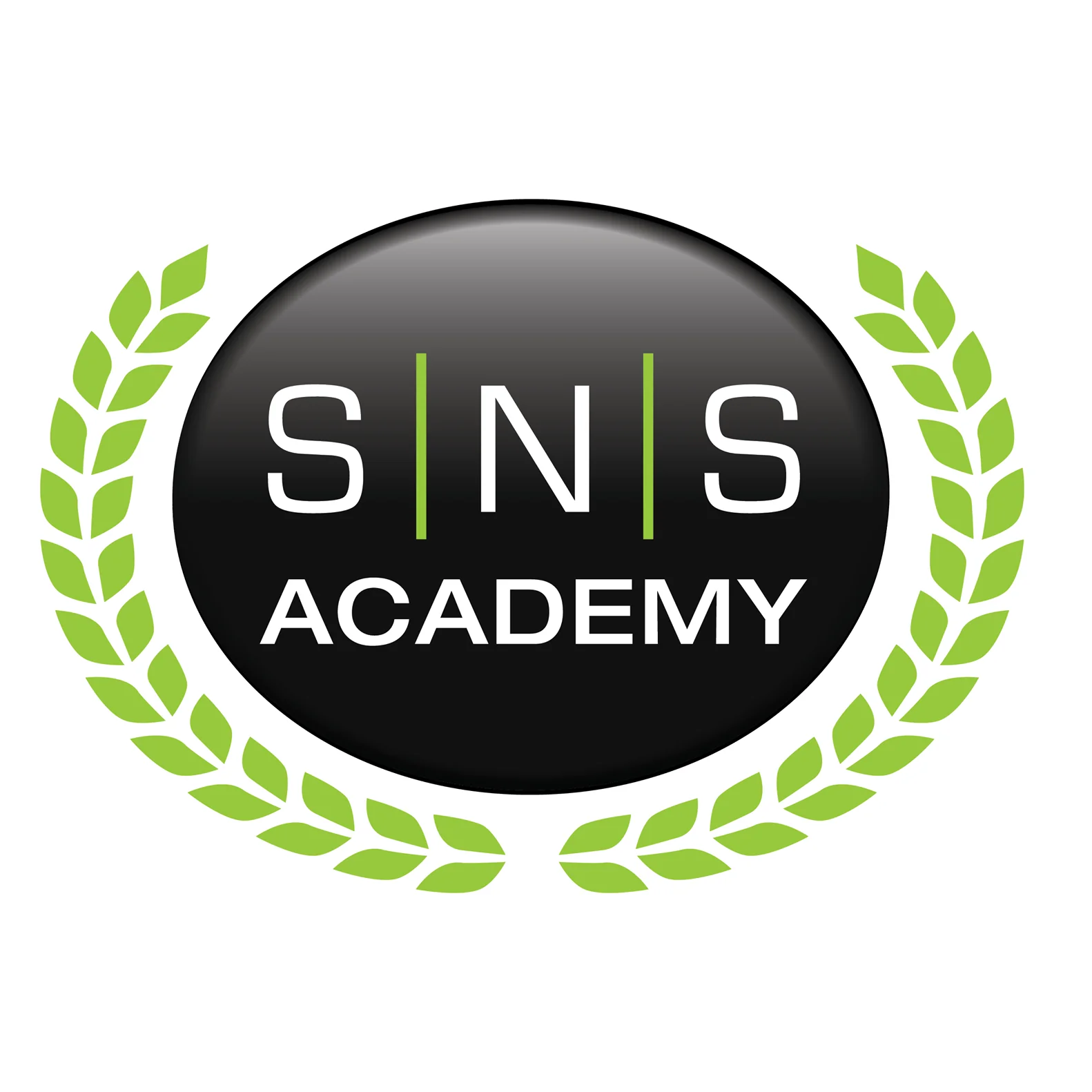 Join Our Intensive Nail Training at SNS Academy! - Image 2