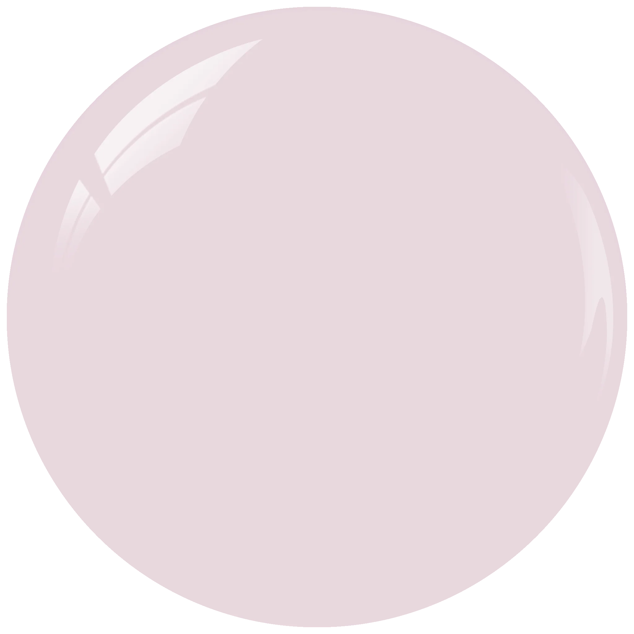 SNS 4-in-1 Pink & White Powder 16oz - Clear Pink 2 - Image 2